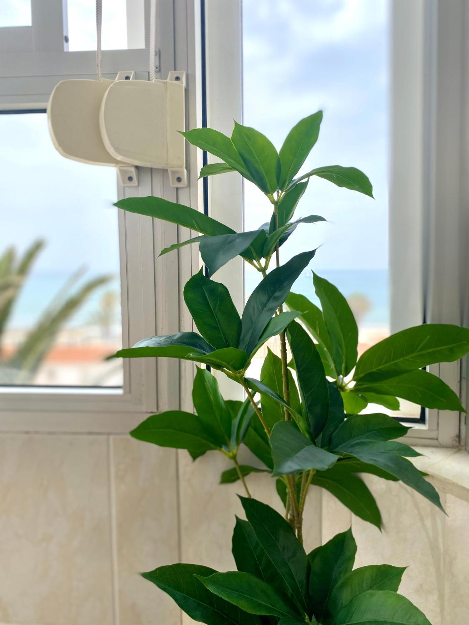 Apartamento Luz Del Mar Torrox Esterno foto